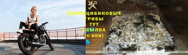 ГАЛЛЮЦИНОГЕННЫЕ ГРИБЫ Аркадак