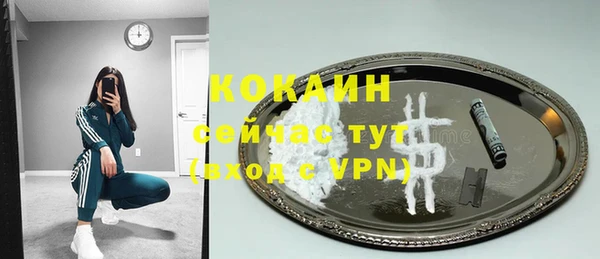 ГАЛЛЮЦИНОГЕННЫЕ ГРИБЫ Аркадак