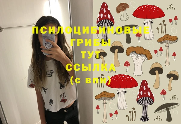 хмурый Балахна