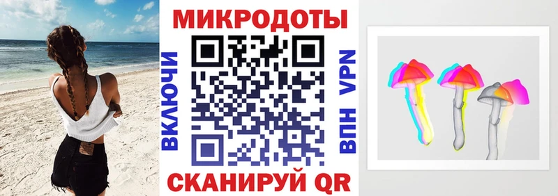 Галлюциногенные грибы Psilocybine cubensis Сыктывкар