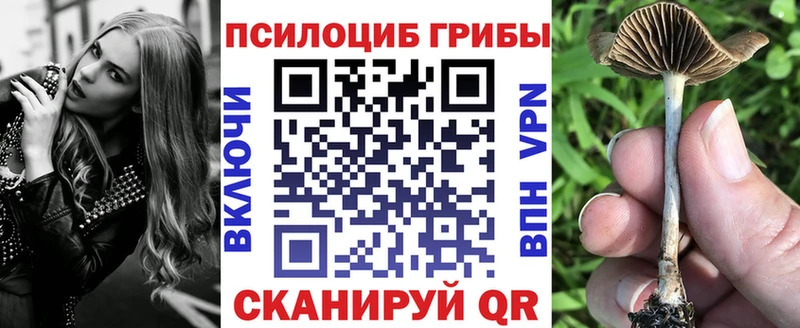 Псилоцибиновые грибы мицелий  Сыктывкар 